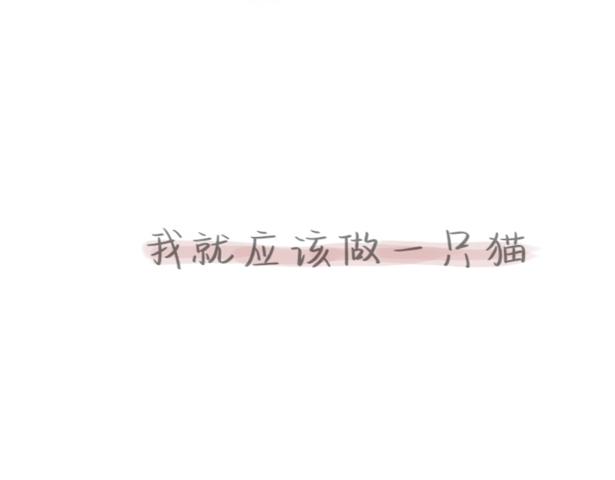 白猫 第8页