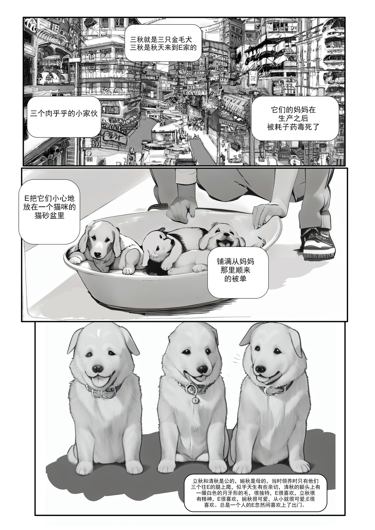 三秋 第6页