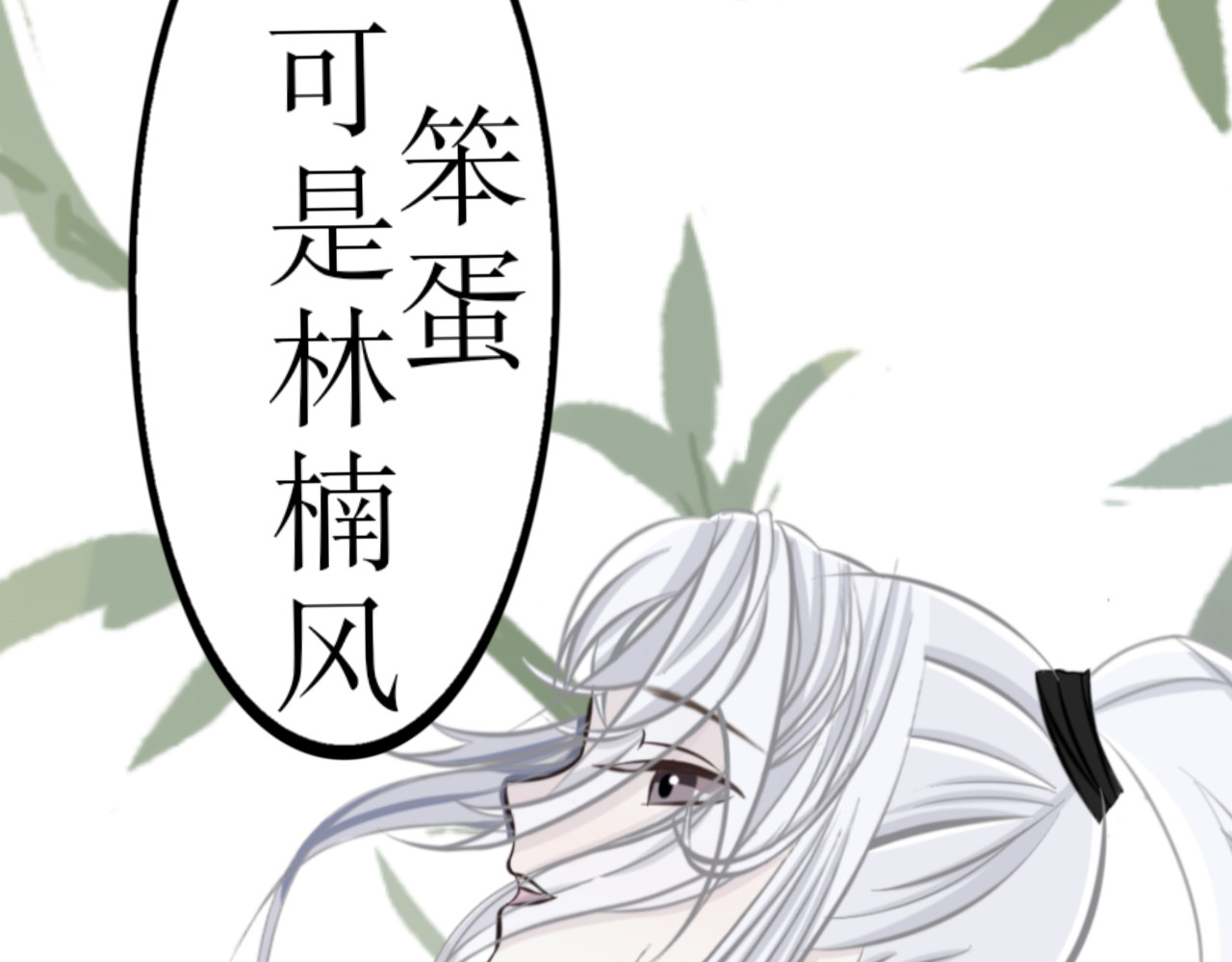 哲成 笨蛋我是林南风 第25页