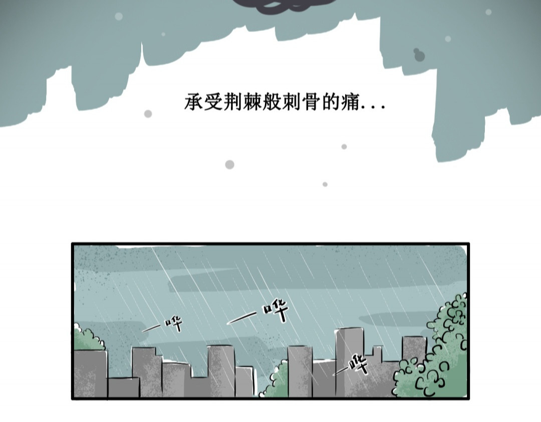 黄伞儿 黄伞 第10页