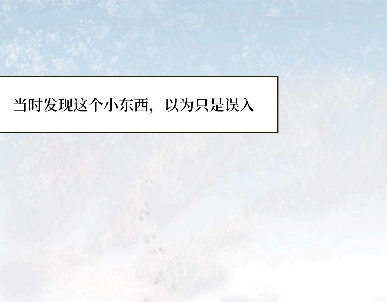 毛团 第5页
