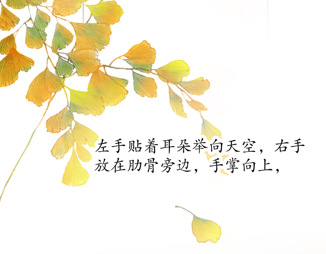 请说谎 新的一天从晨练开始 第18页