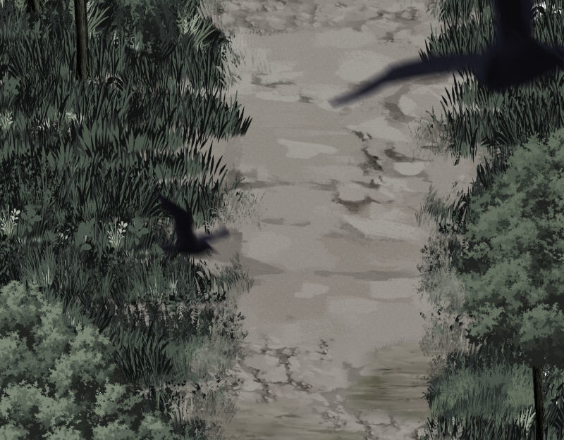 闻说 山狐 - 6 第10页