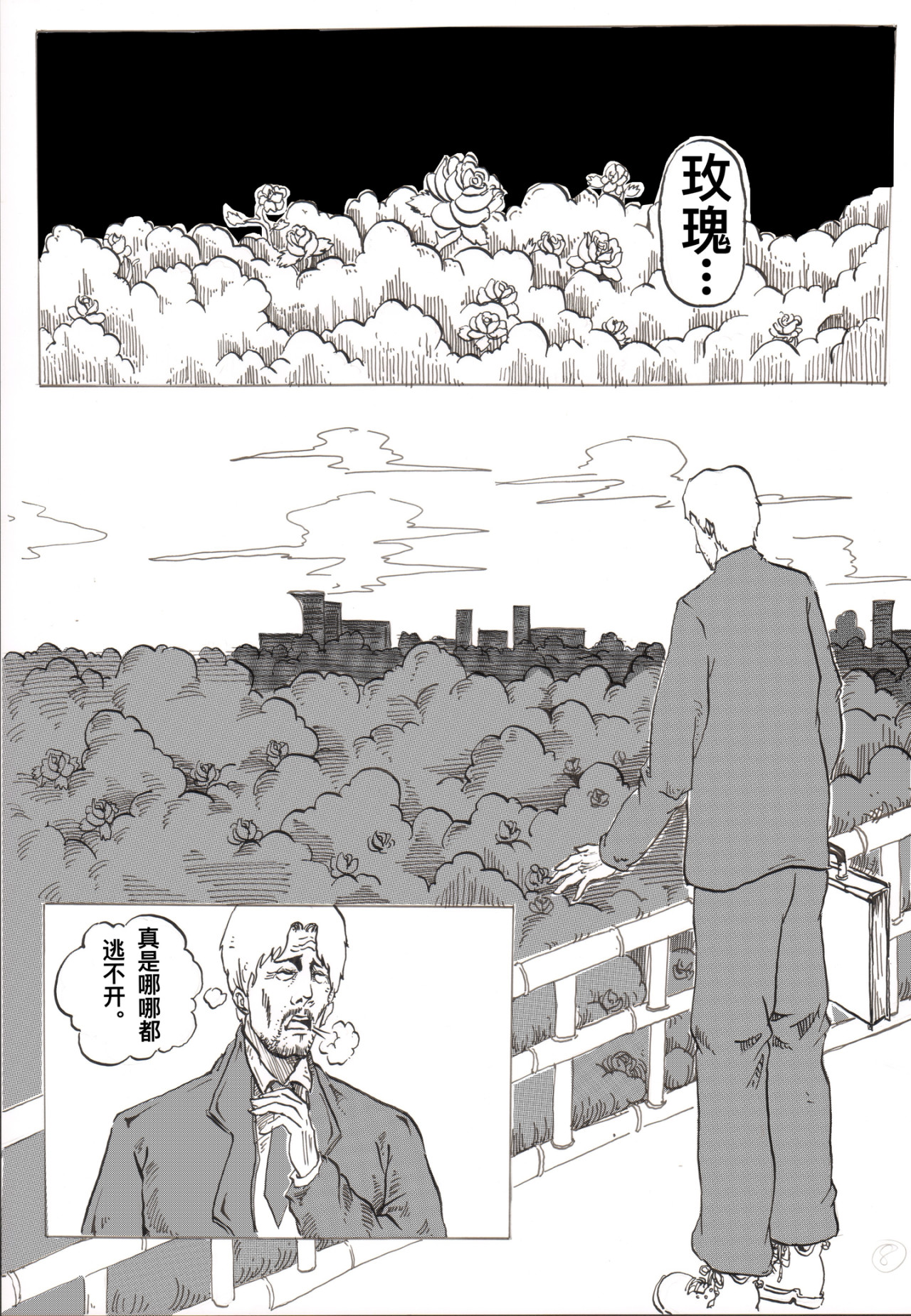 鸽子 第8页
