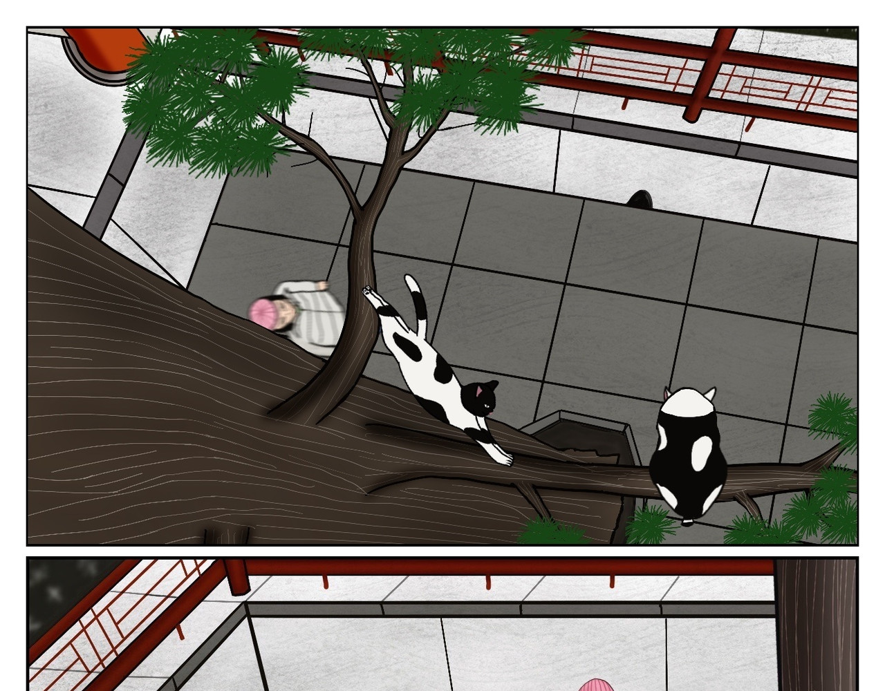 宫猫传 一脚飞踹 第3页
