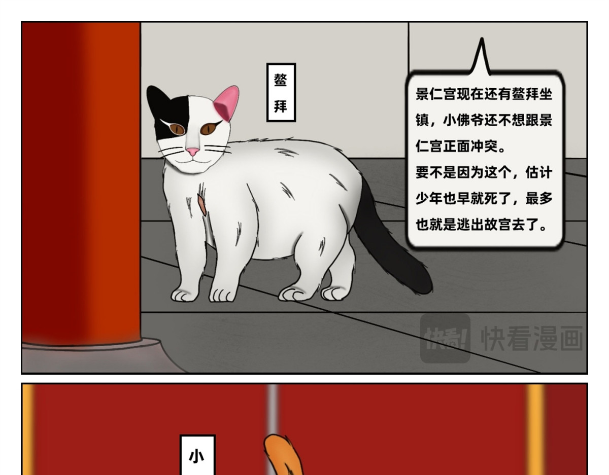 宫猫传 众猫登场 第11页