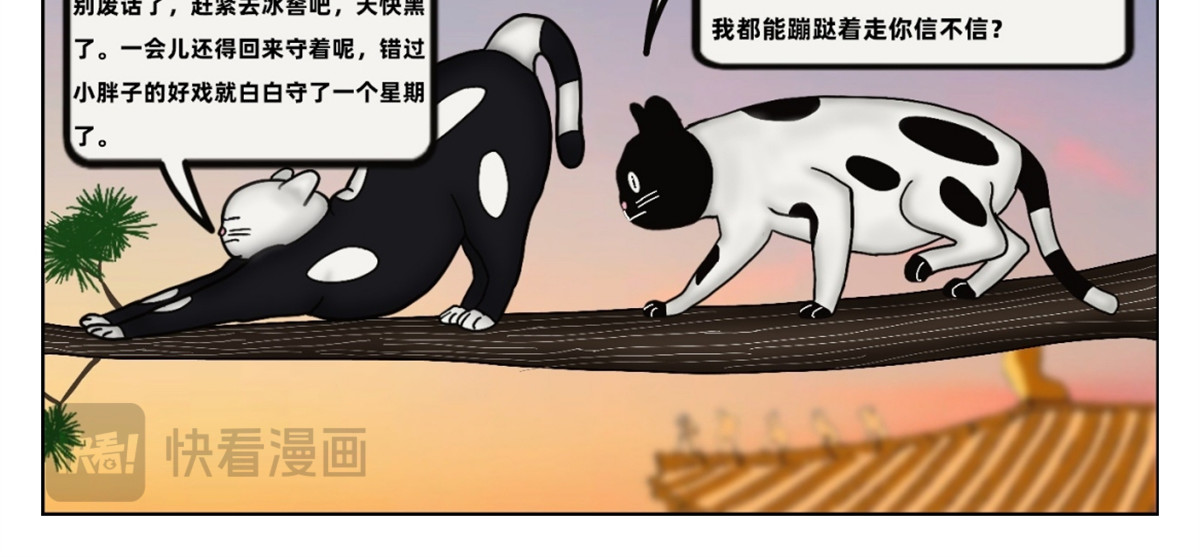 宫猫传 众猫登场 第26页