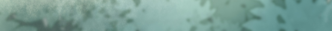 灵族 诡事 第26页