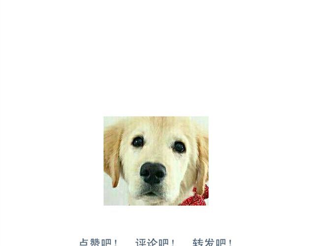 Sunday 第4话 悄悄看着他 第62页