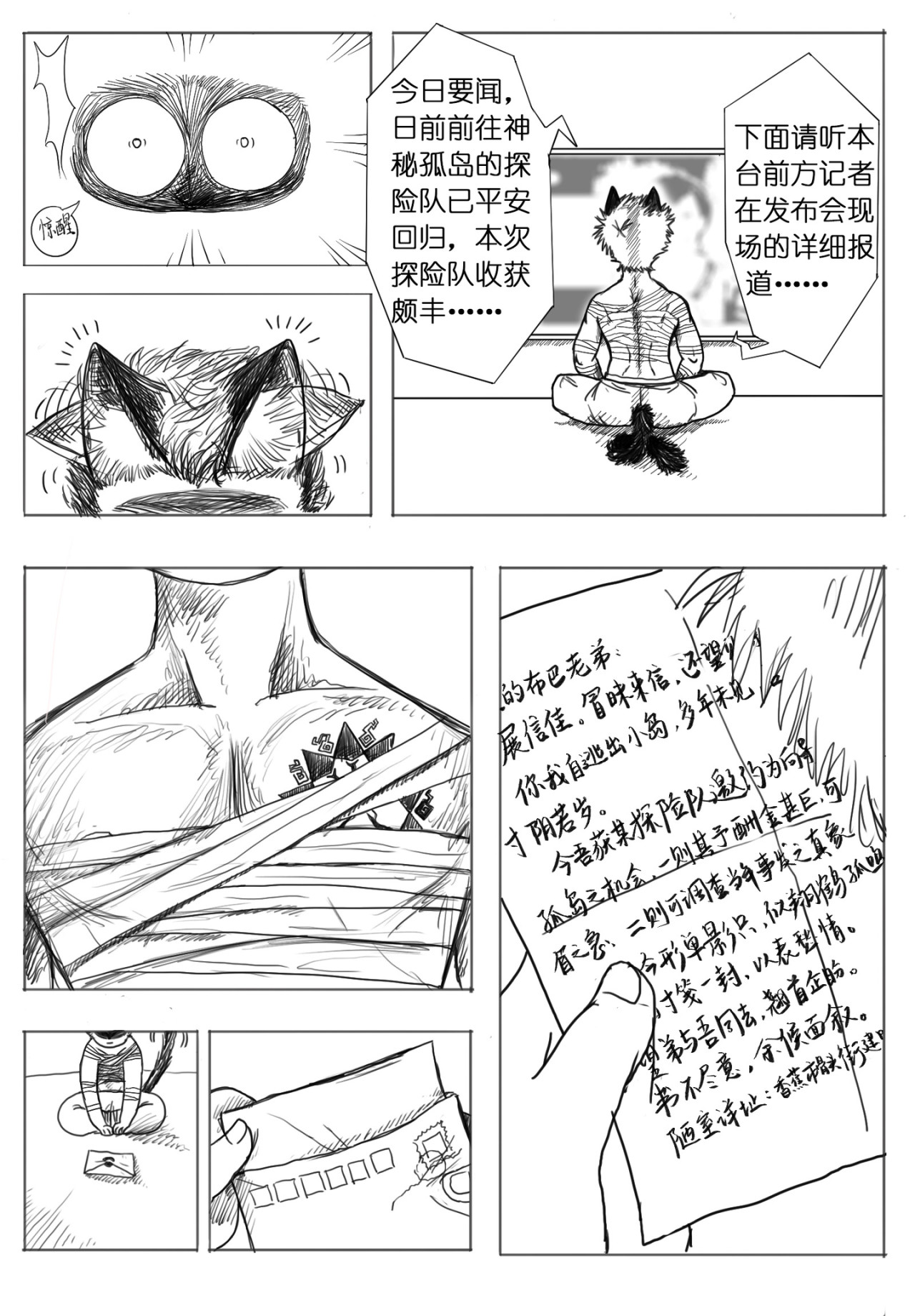 布巴 第4页