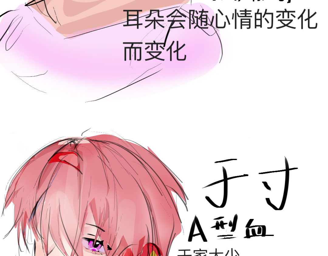飞鱼z 第4页