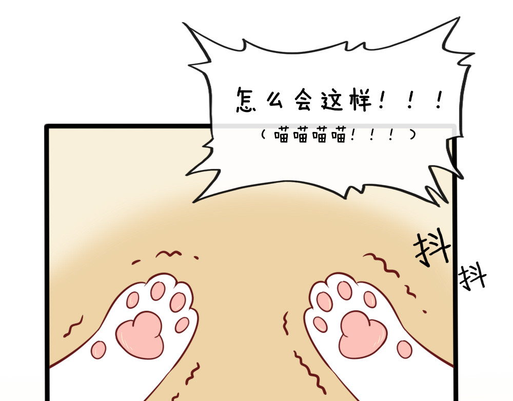 变猫 第1页
