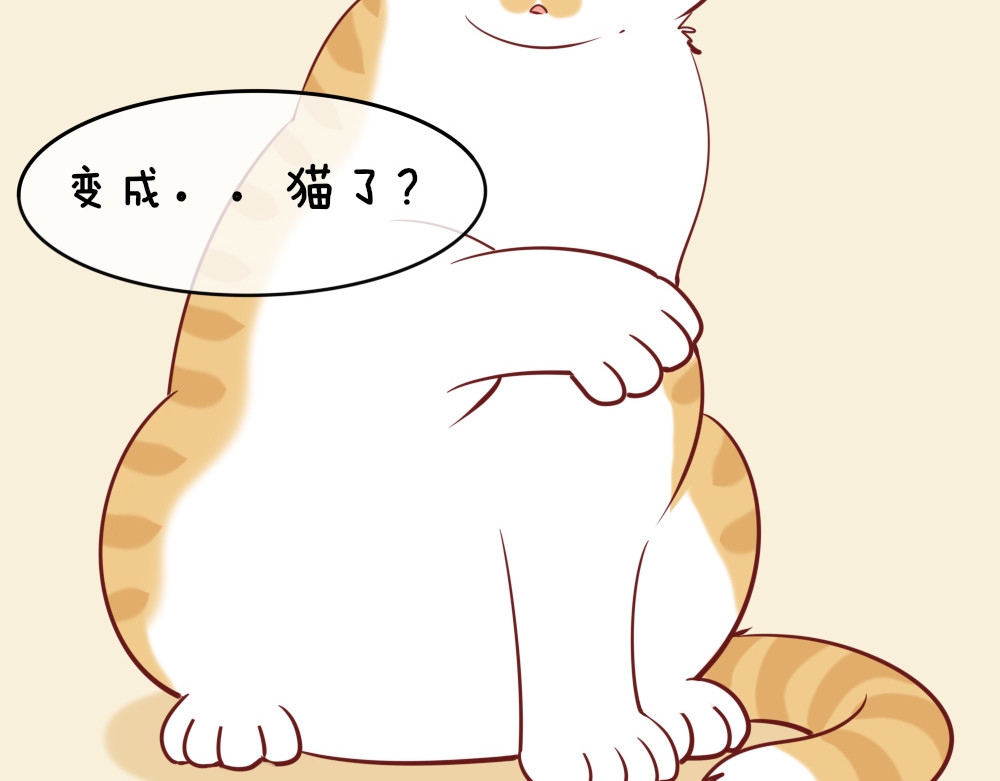 变猫 第3页
