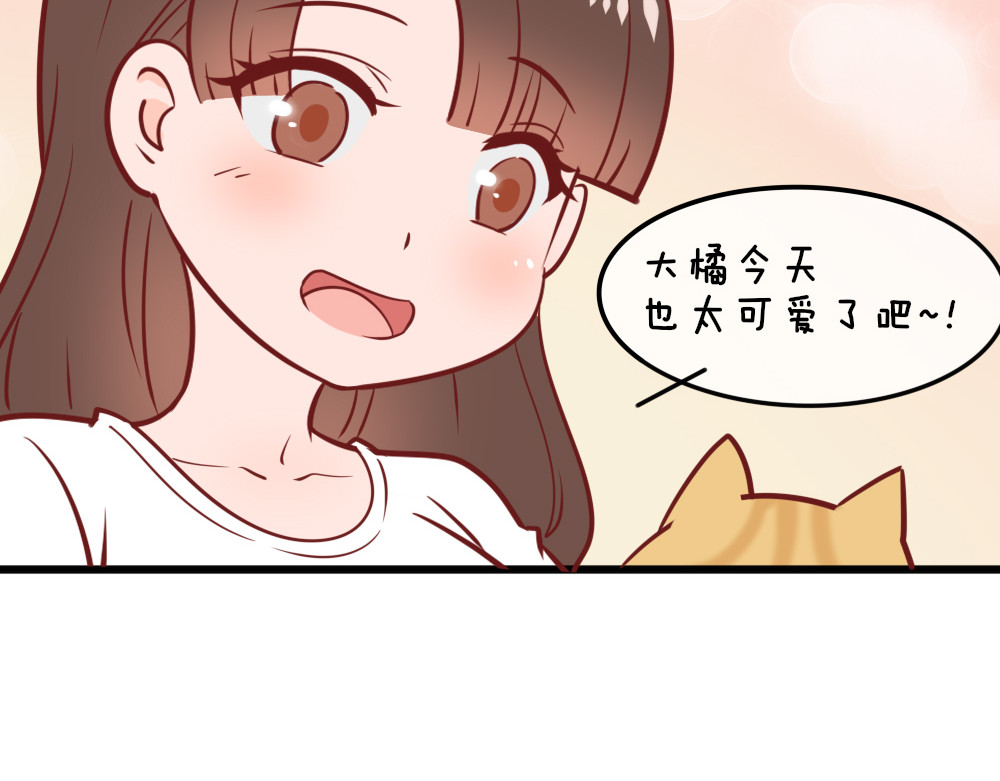 变猫 单身肥宅大胖橘 第23页