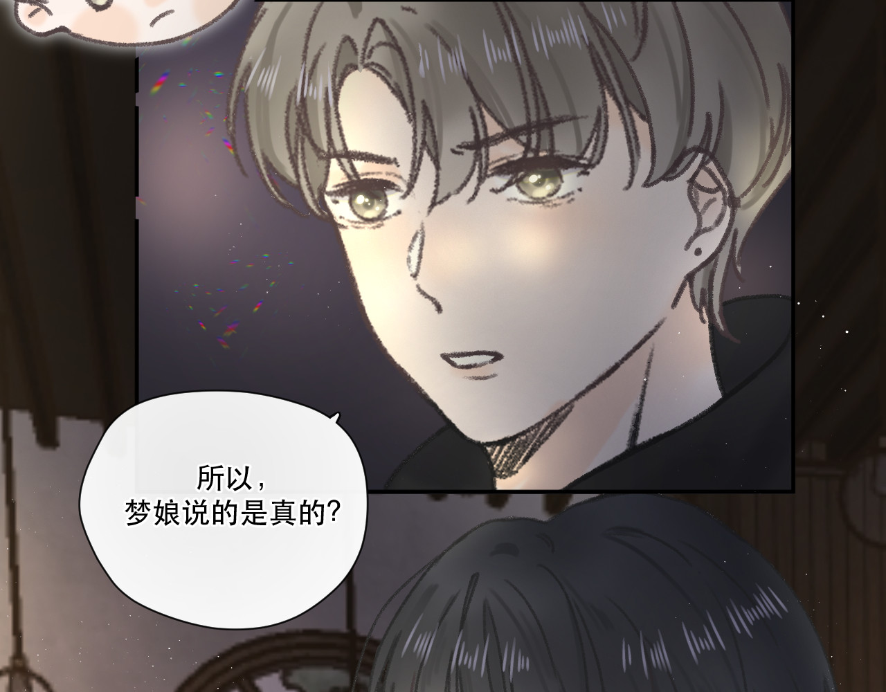星与 第五颗星 第40页