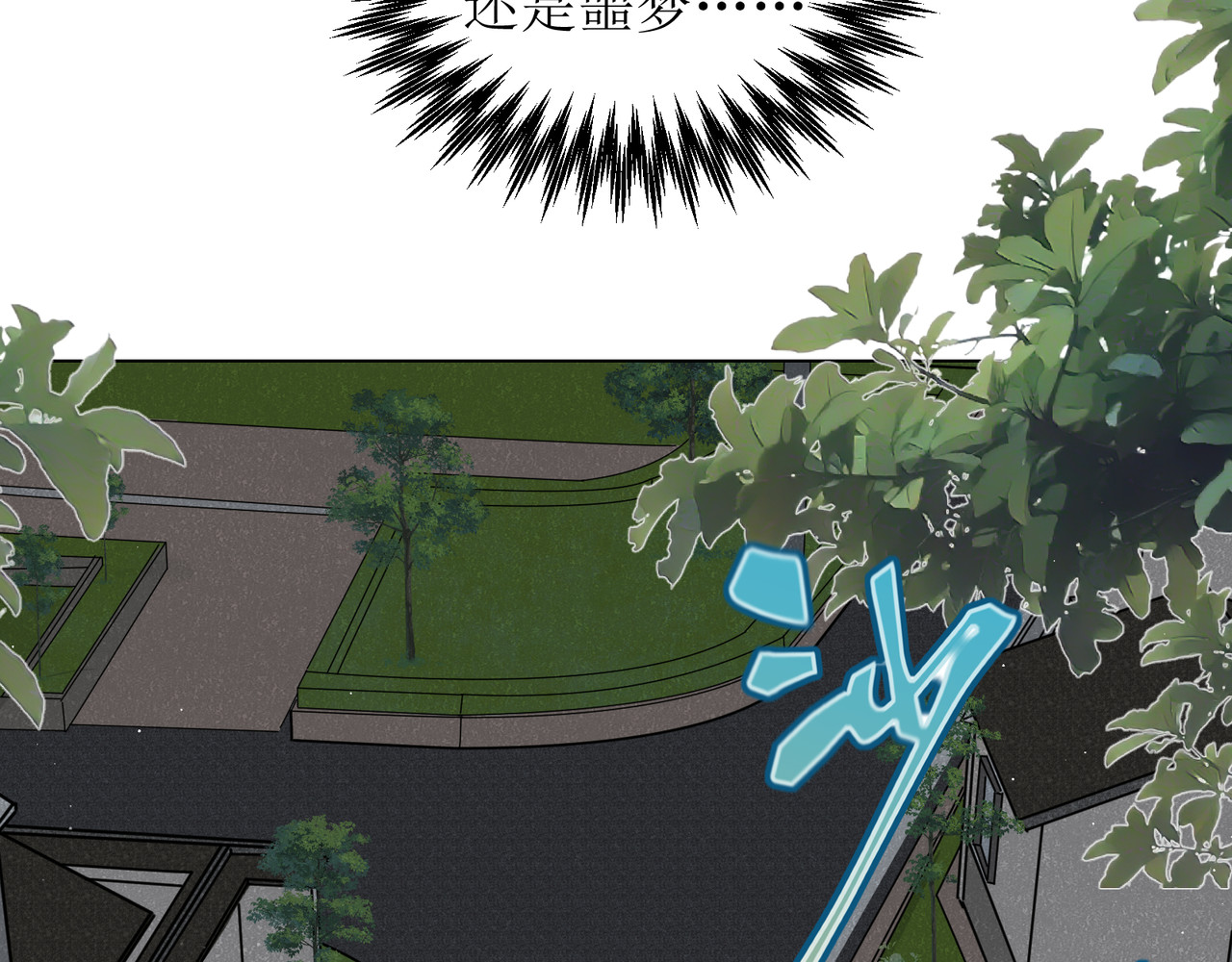 善臆 回头看 第57页