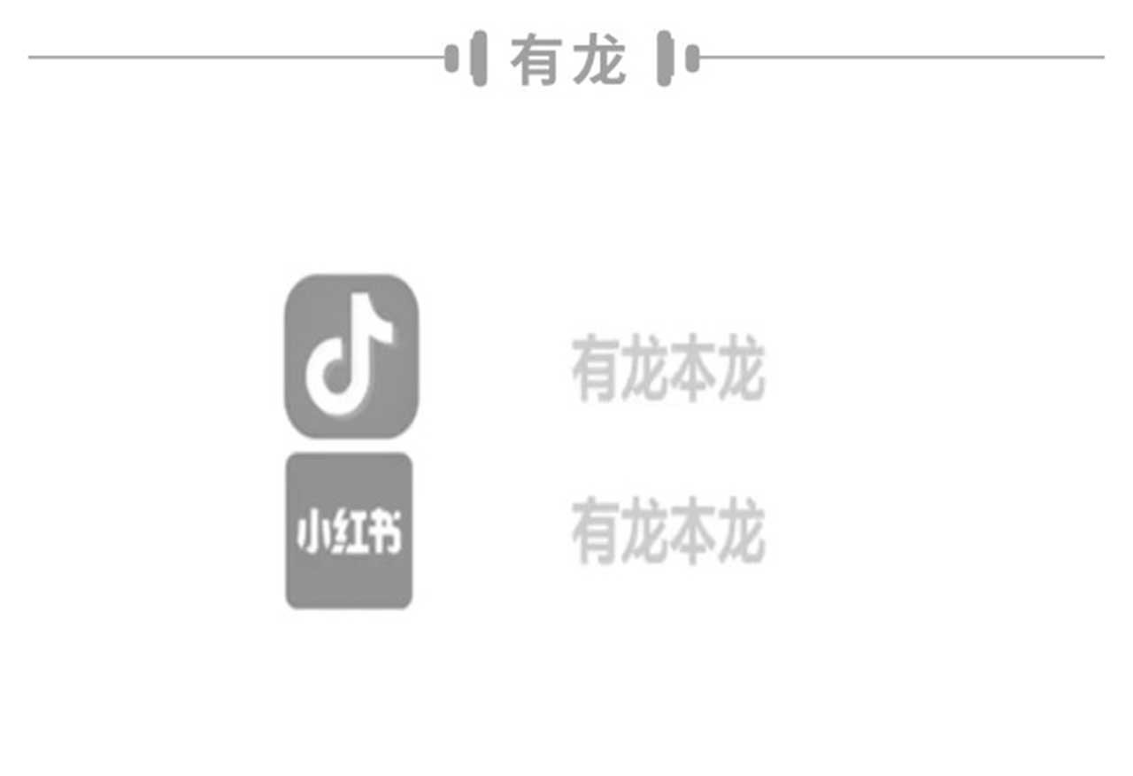 有龙 第一章 压力给到你了 第3页