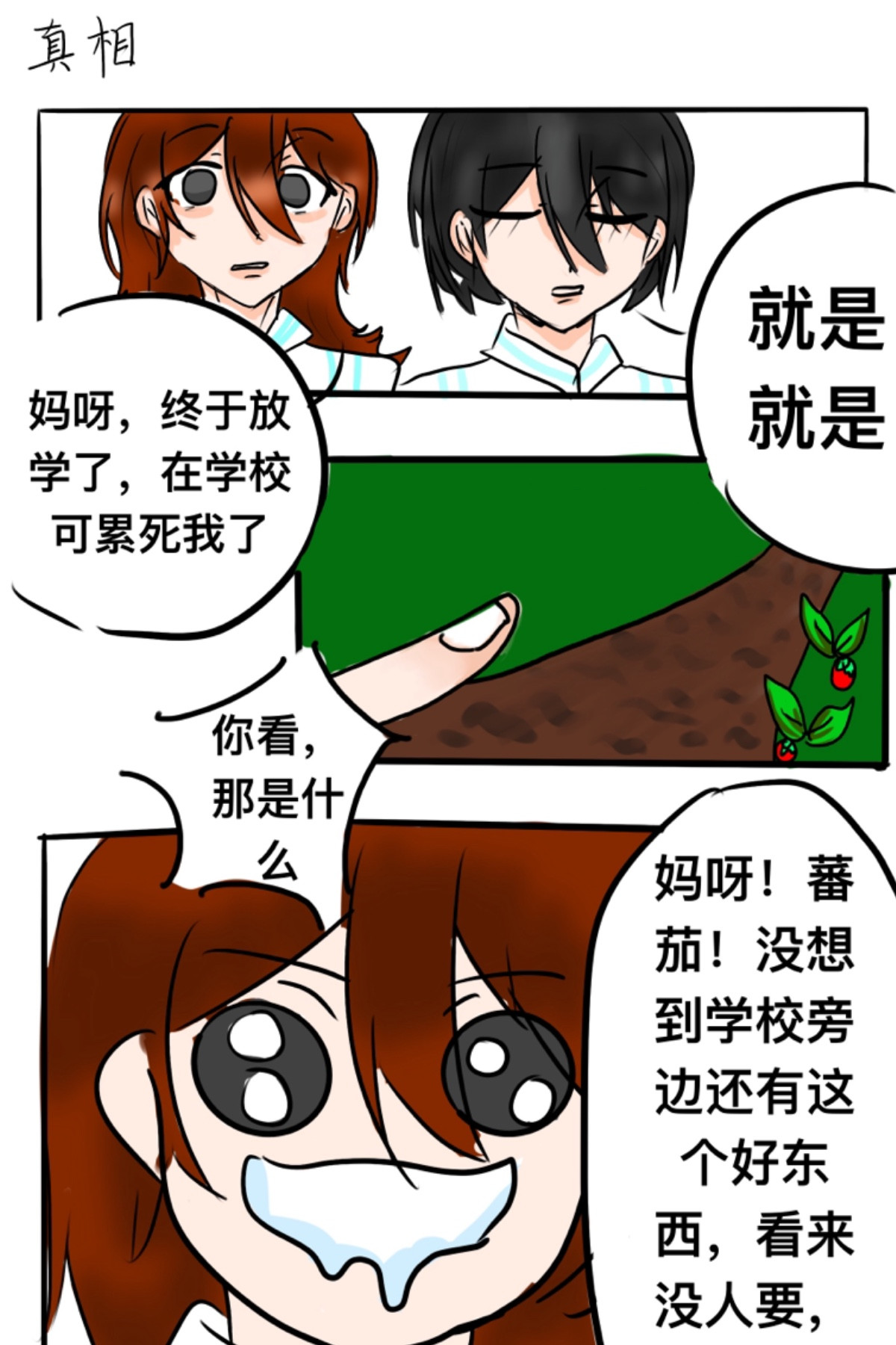 番茄酱 真相 第1页