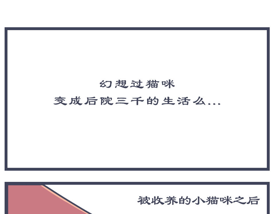 猫宫记 第1页