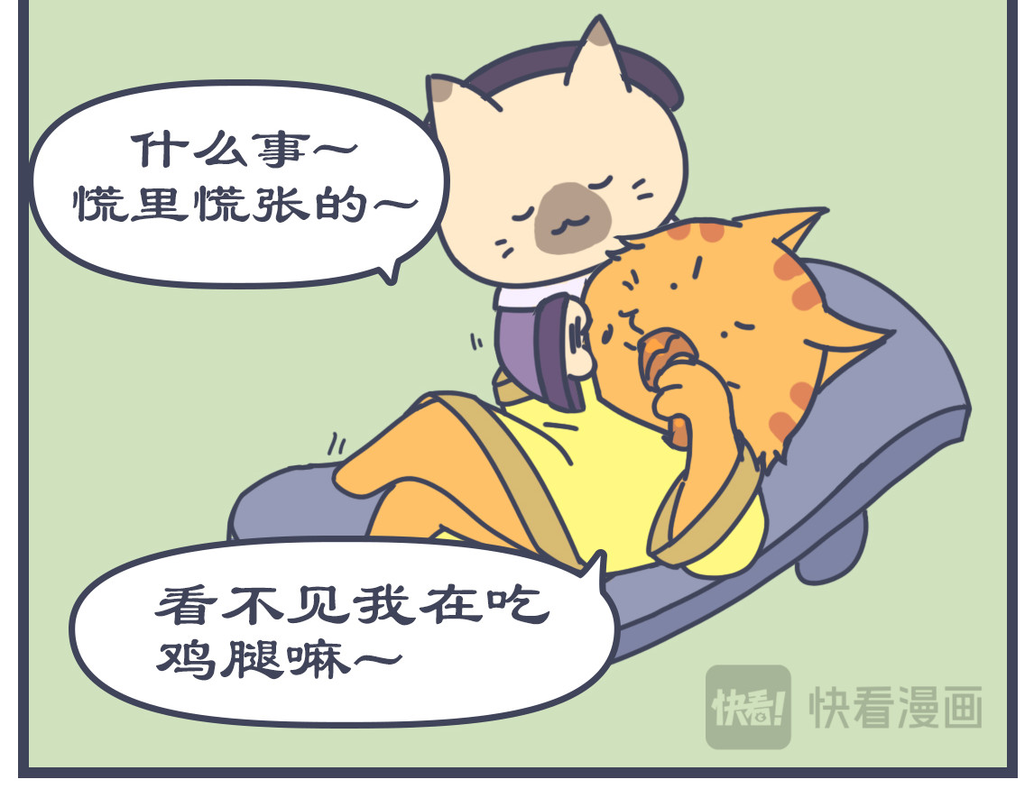 猫宫记 点名睡觉 第5页