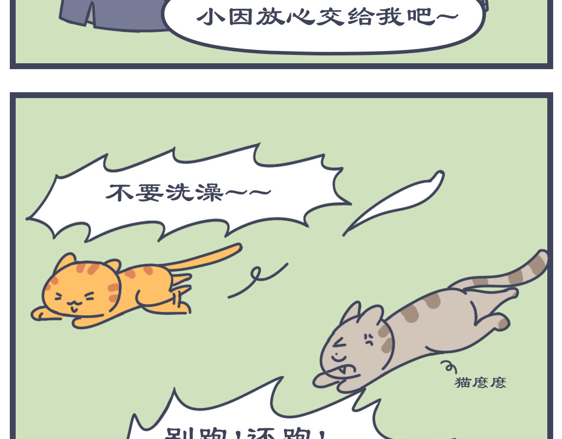 猫宫记 点名睡觉 第10页