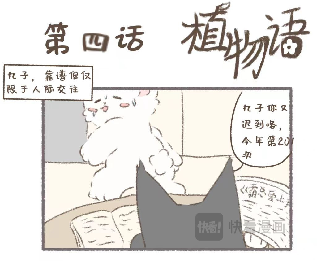 植物语 公司可靠的前辈 第13页