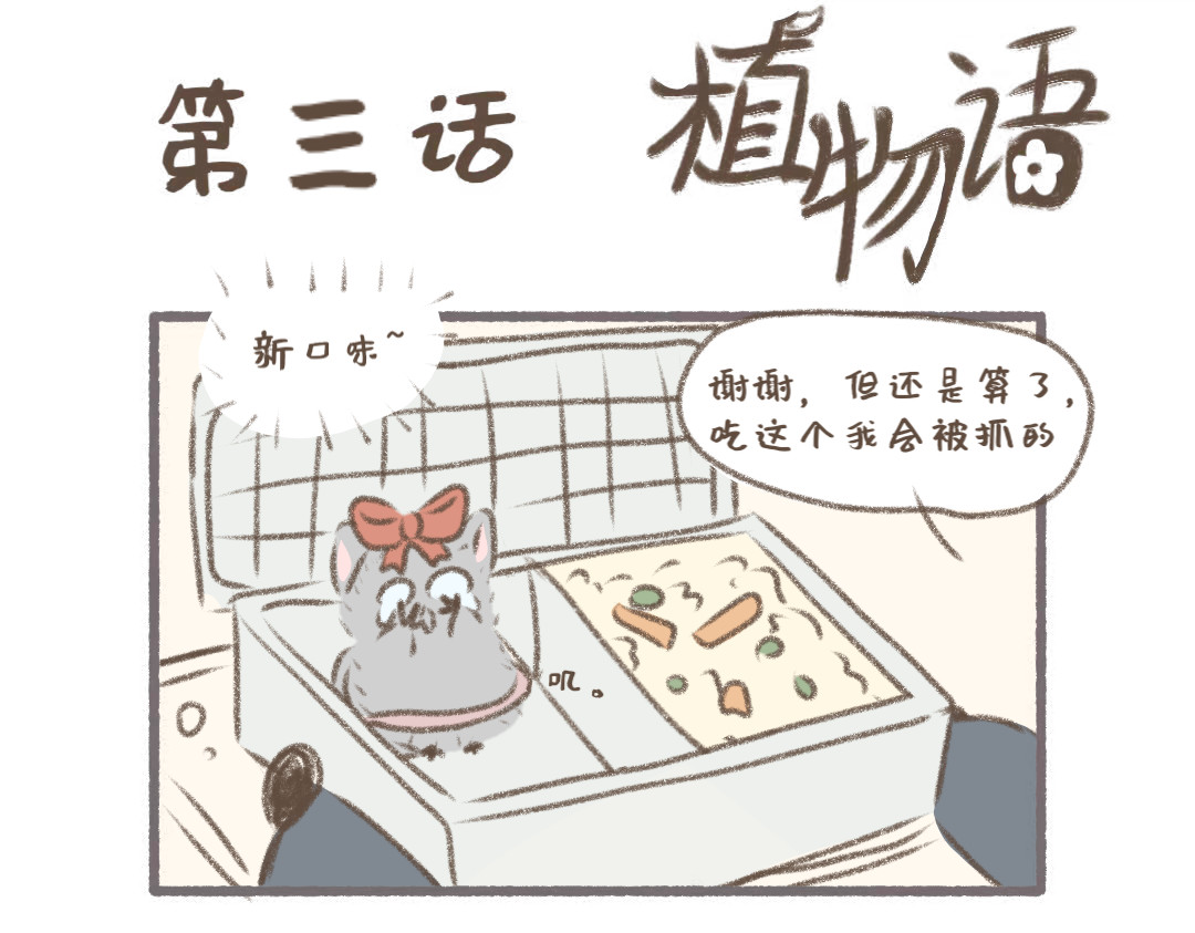 植物语 公司可靠的前辈 第9页
