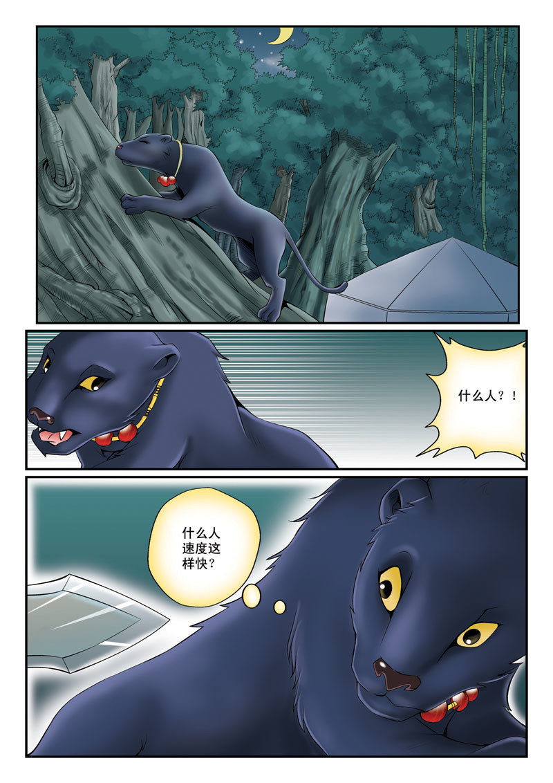 黑豹CARL 第六章 独行 第17页