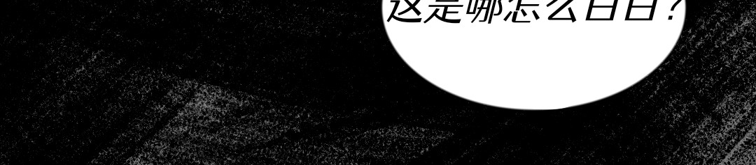 迟心引 第5页