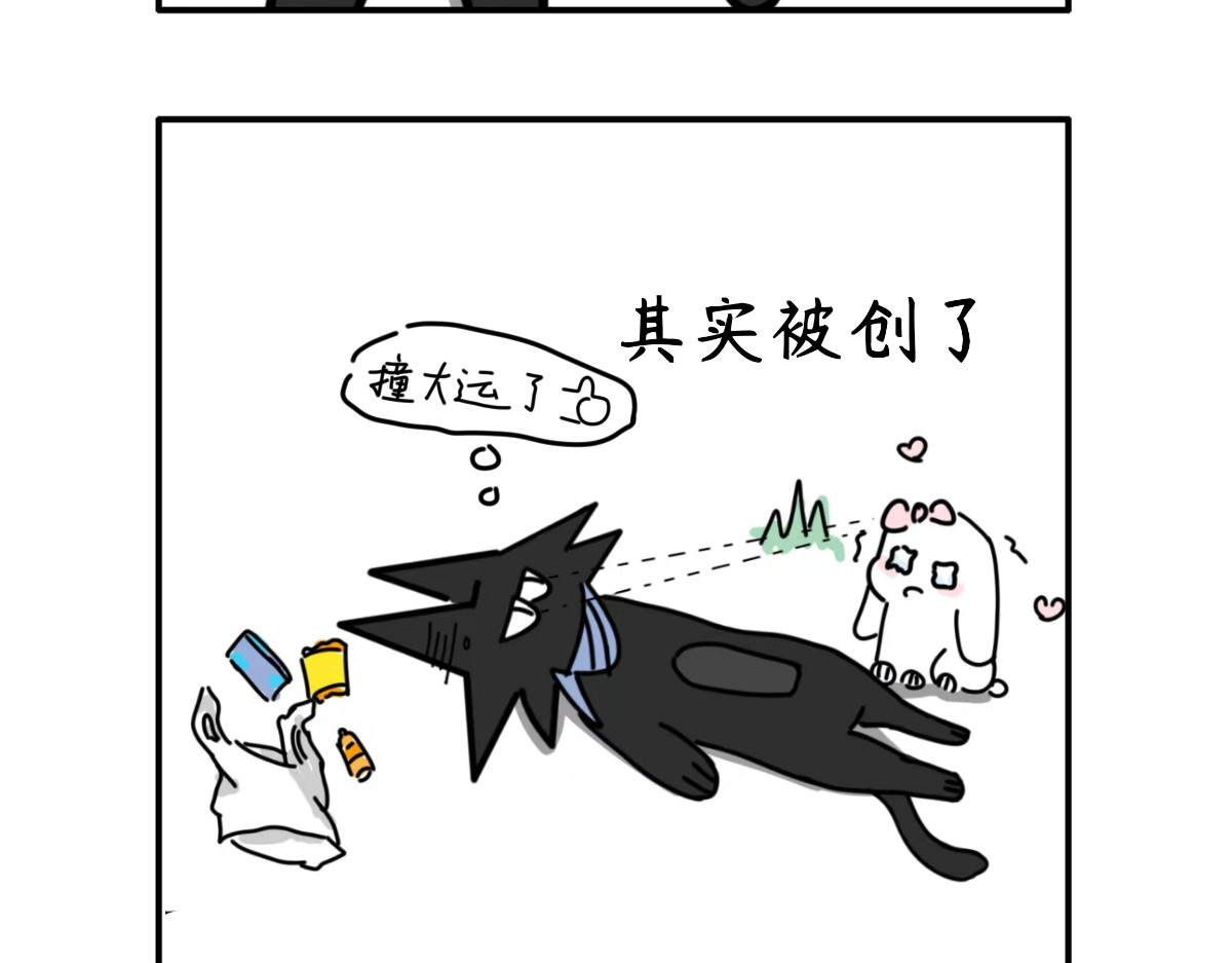 毛学院 第2页