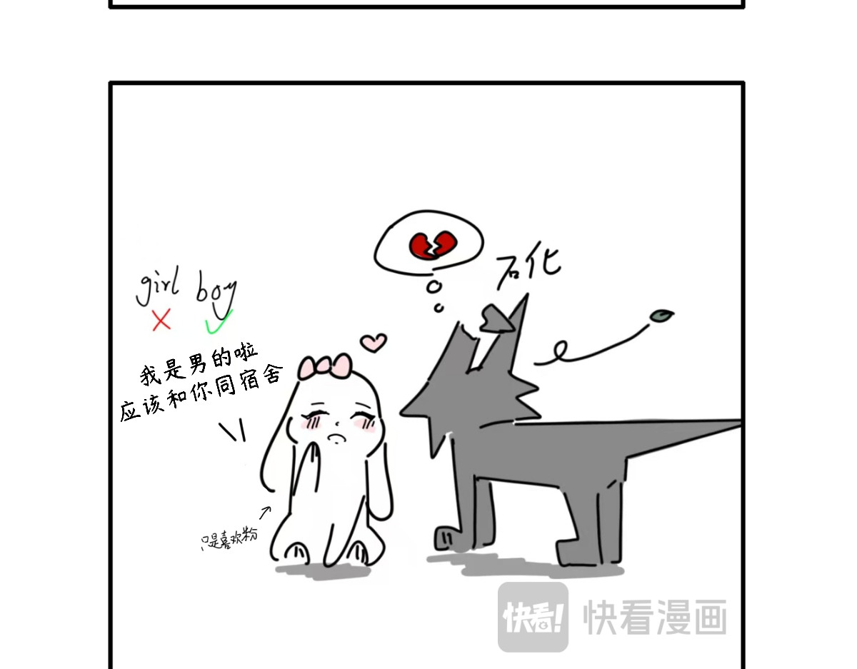 毛学院 我是小冒 第11页