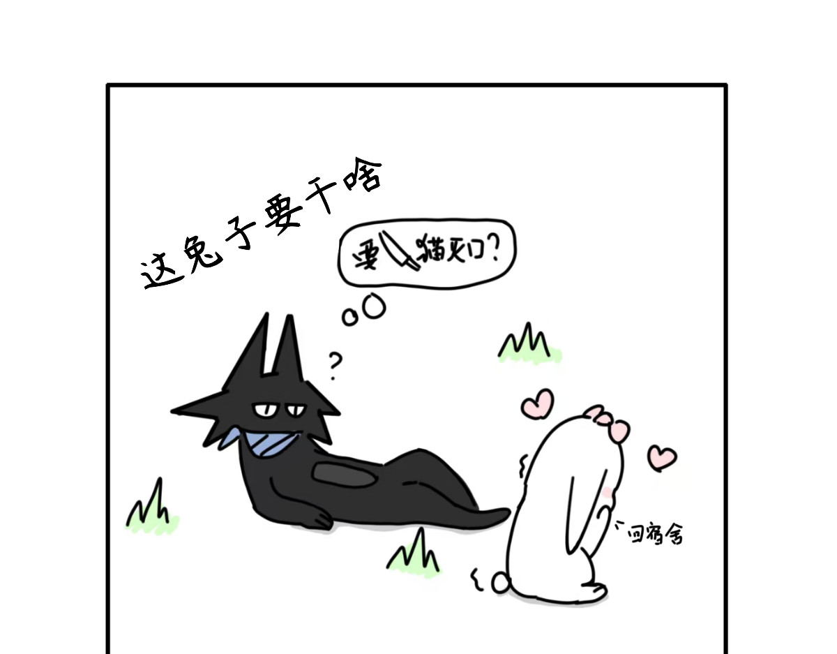 毛学院 第4页