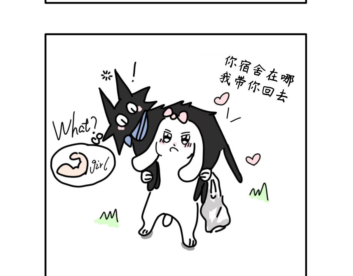 毛学院 第5页