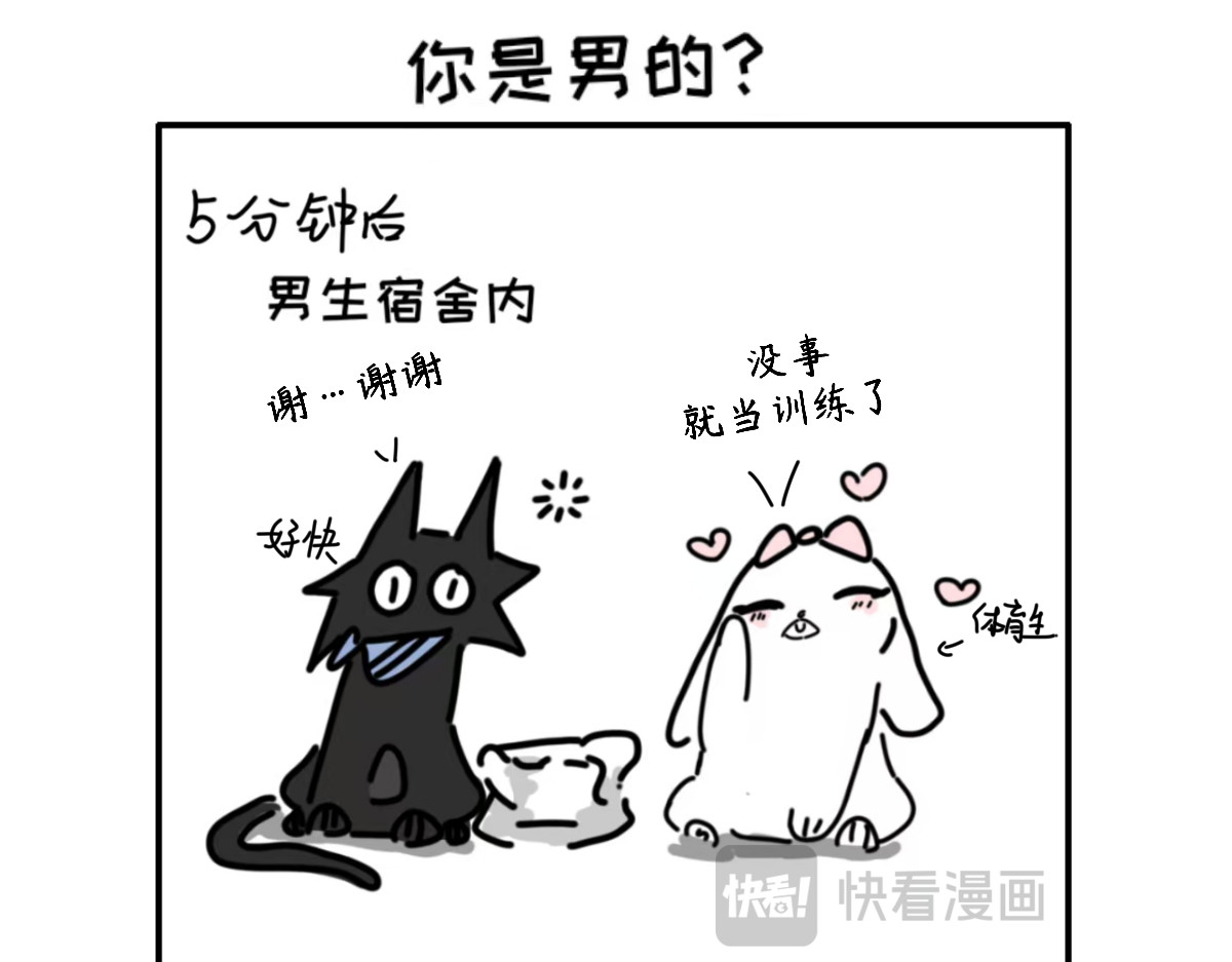 毛学院 第7页