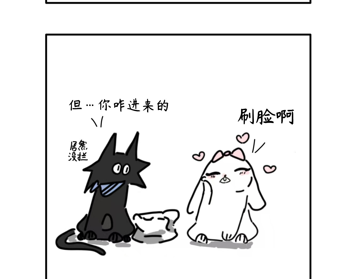 毛学院 第8页
