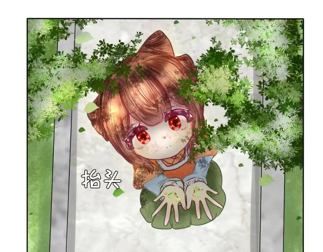棠朝 第1页