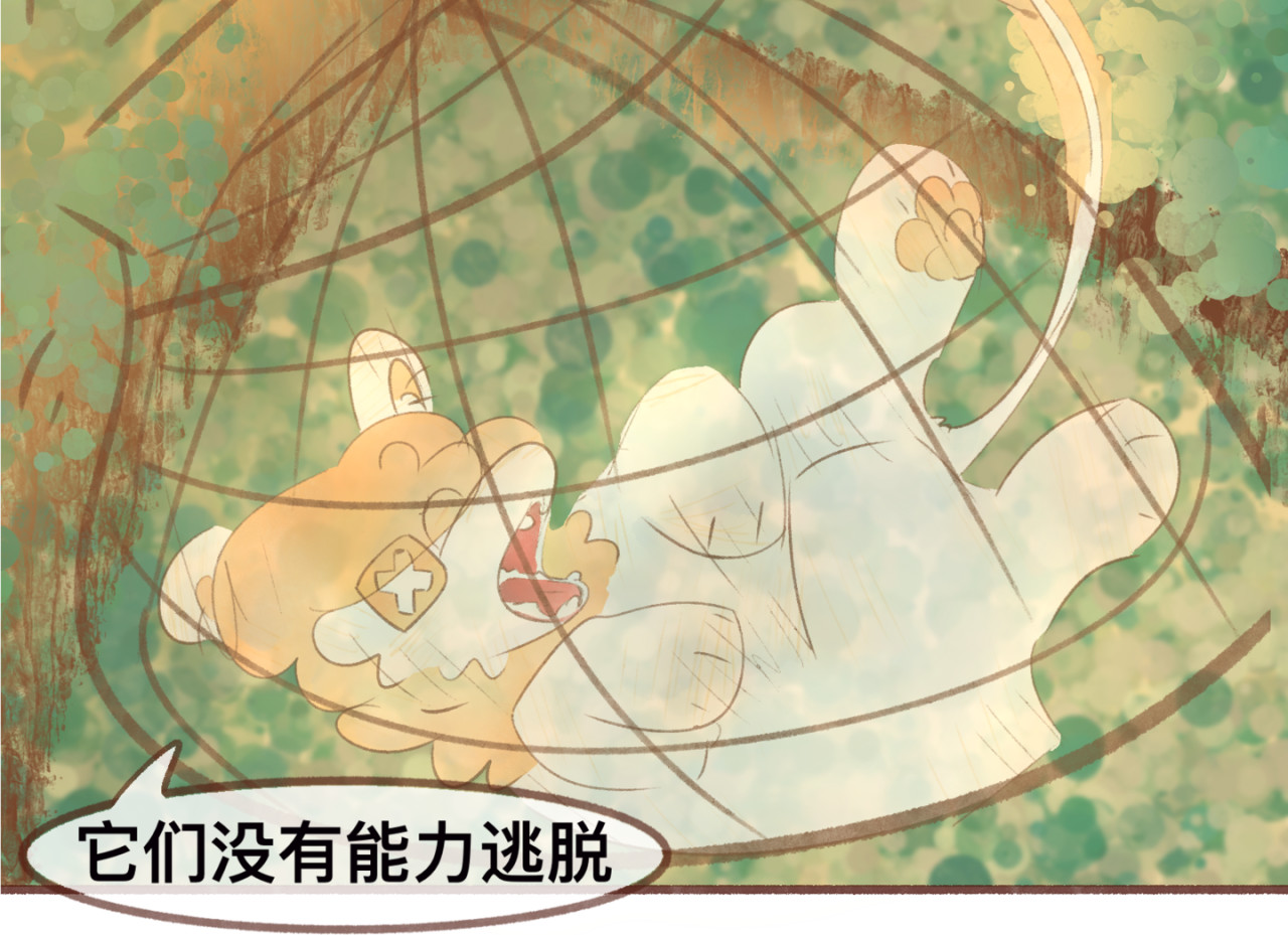  缘起  启程，往光明谷 第41页