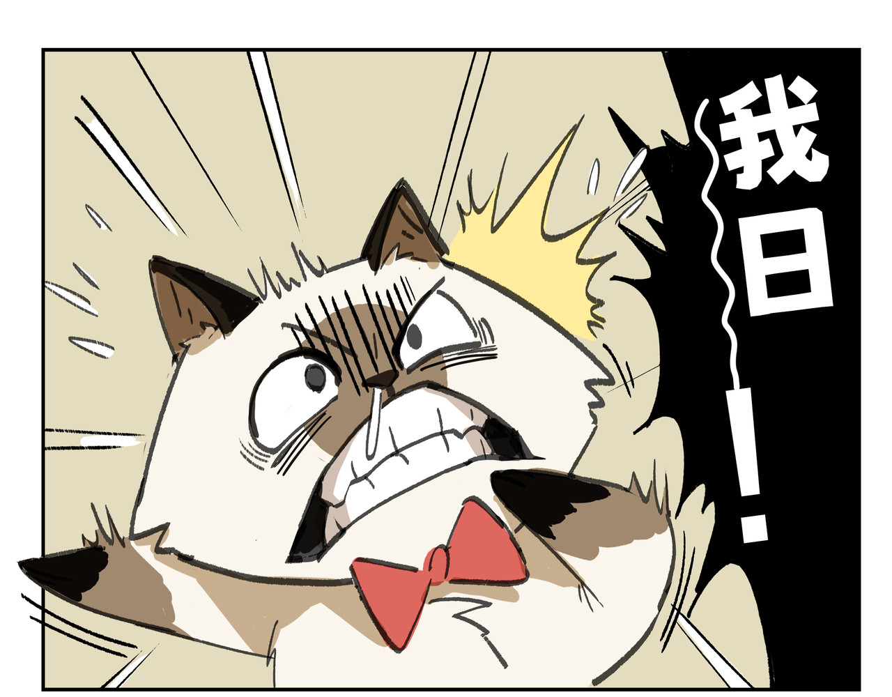 猫又1/2 003我就是你妈妈 第13页