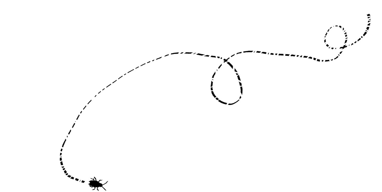 猫又1/2 005旗鼓相当 第5页