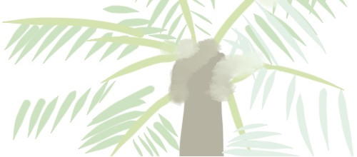 笨加笨 第3页