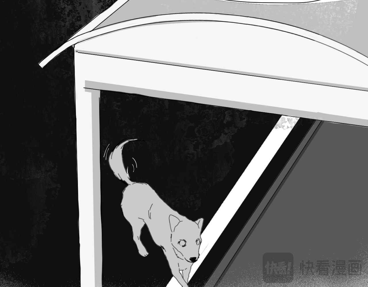 躯体 第3页