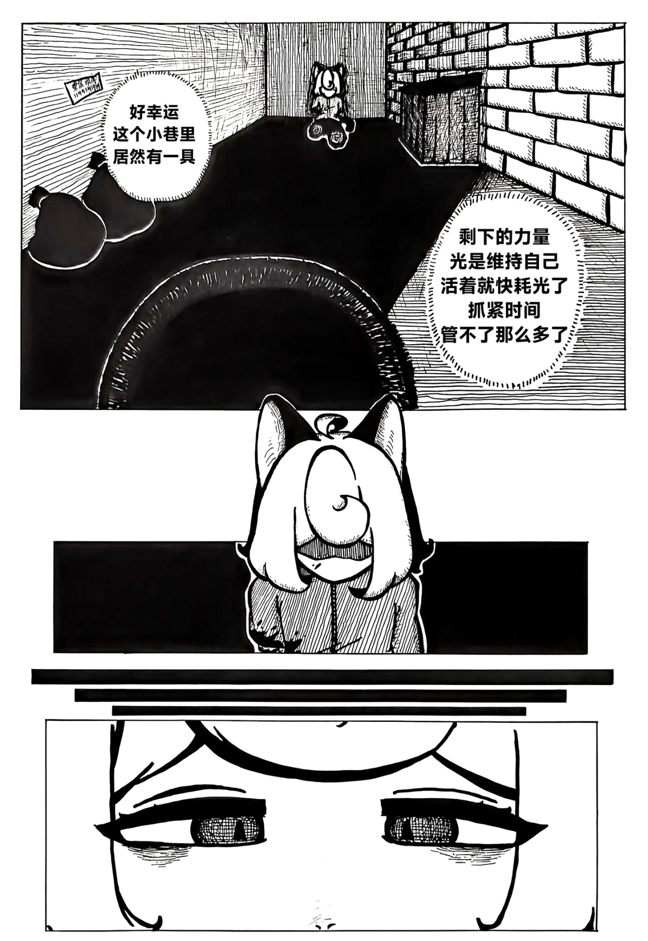 轻舞 LIGHT DANCE 第3页